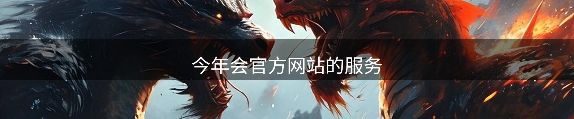 今年会官方网站的服务