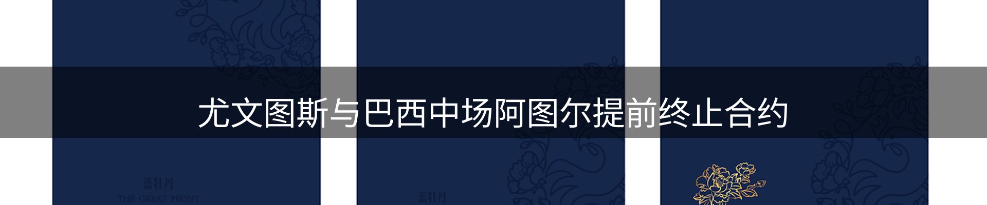 综合资讯