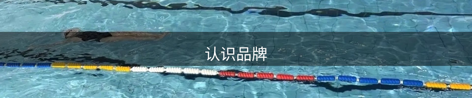 认识品牌